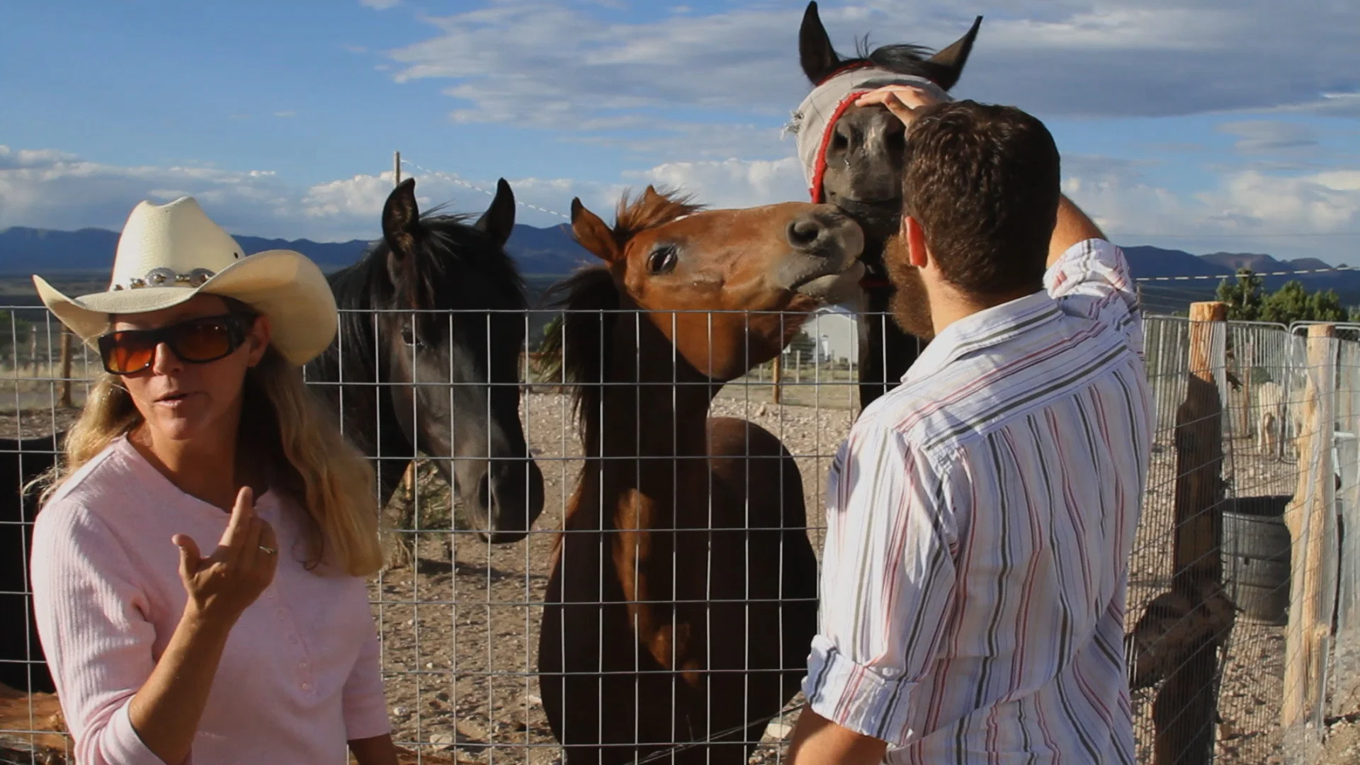 Pioche horses.jpg
