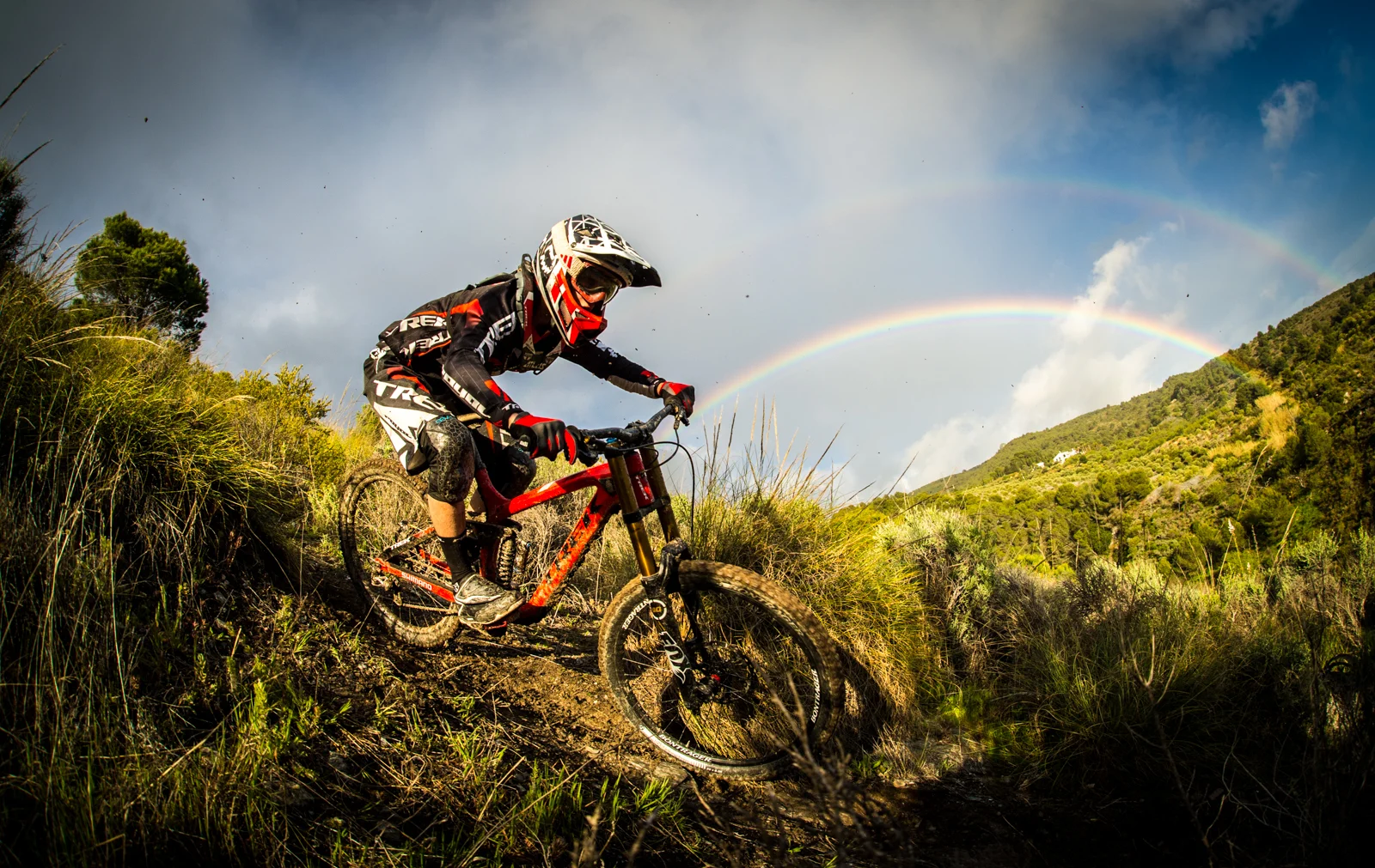 TWRtc_2014-8411.jpg