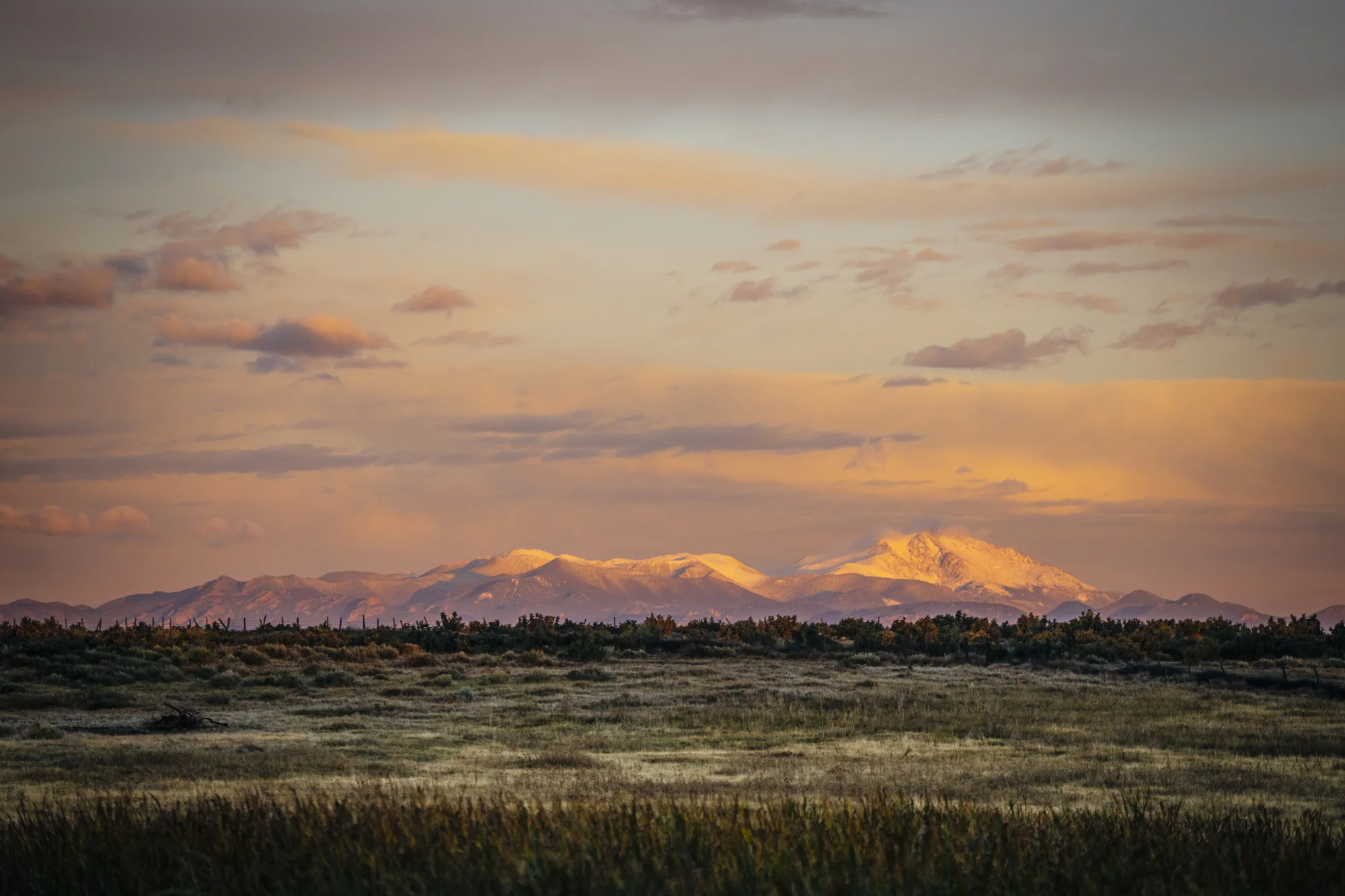 mdelorme_10222015-09419.jpg