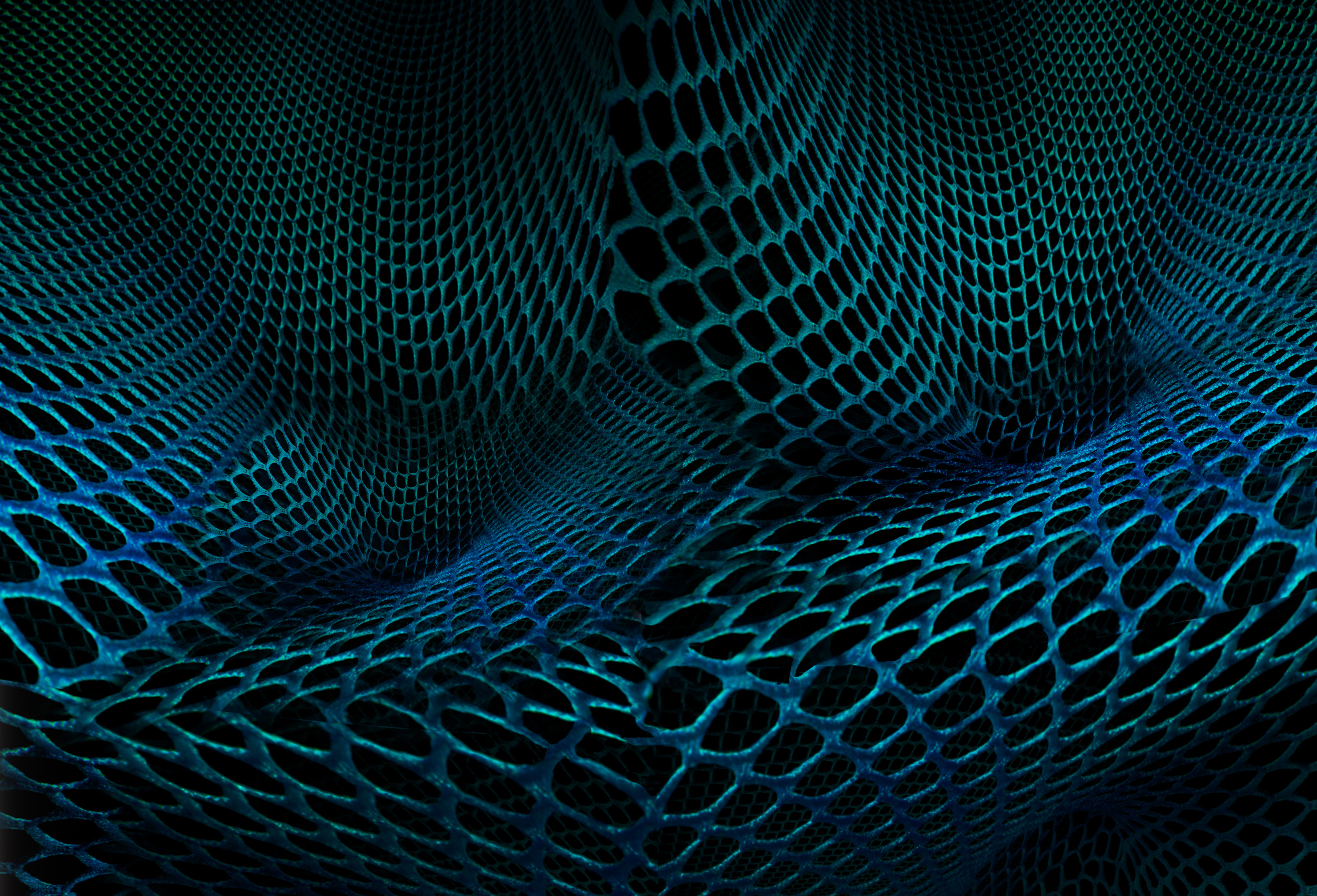 TeaL_NET_V6.jpg