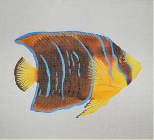 DD ED-18068 Giant King Angelfish.jpg