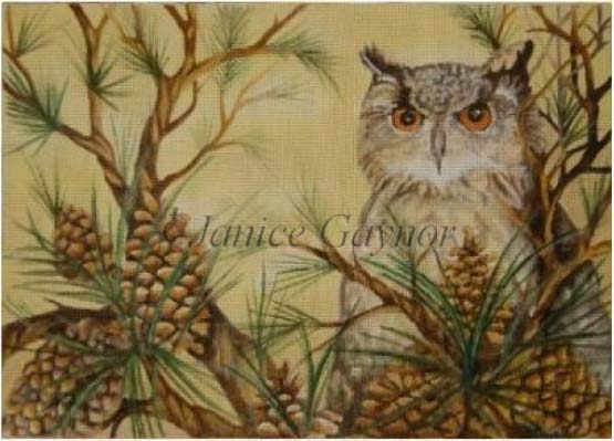 78 - JG1005 Owl in Pine Branches and Cones.jpg
