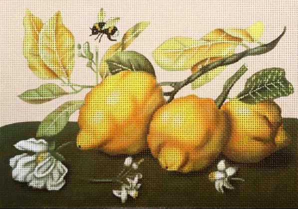 1842 Small Lemons 18.jpg