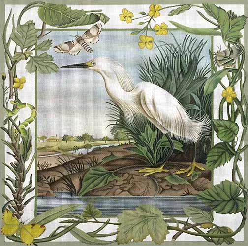 20 - 1904 White Egret 13.jpg
