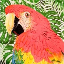 43 - C-451c Red Parrot.jpg
