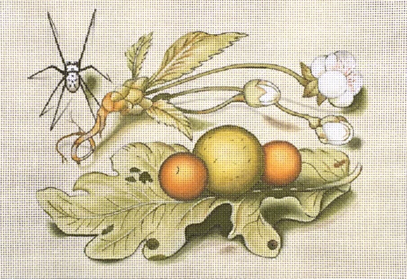 1945-B Spider and Citrus 18.jpg