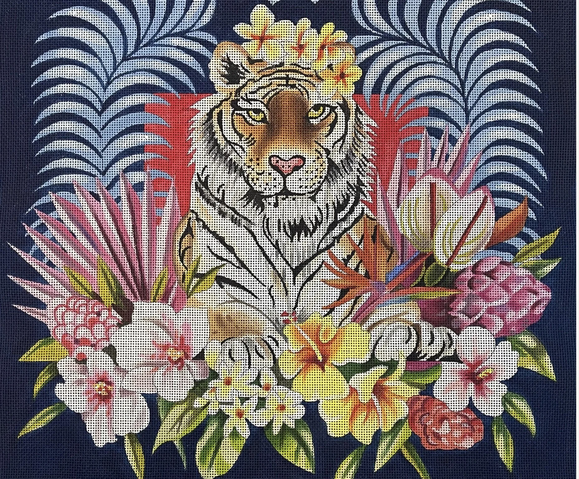 24 -AN453 -TROPICAL TIGER.jpg