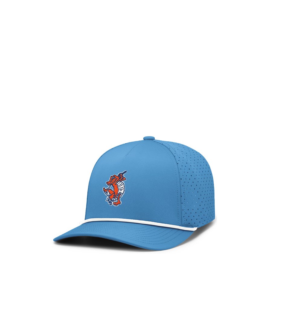 Swinging_Gator_perf_weekender_front.jpg