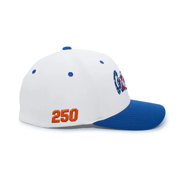 FL_Gators_USA_250_hat_side.jpg