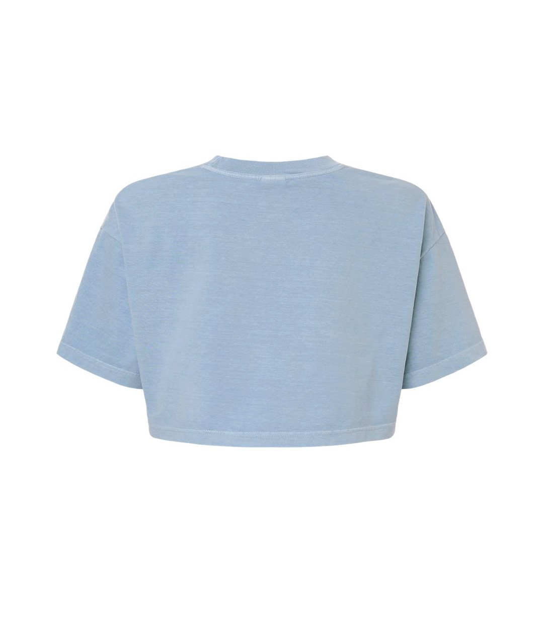 FL_vintage_Gators_crop_back.jpg