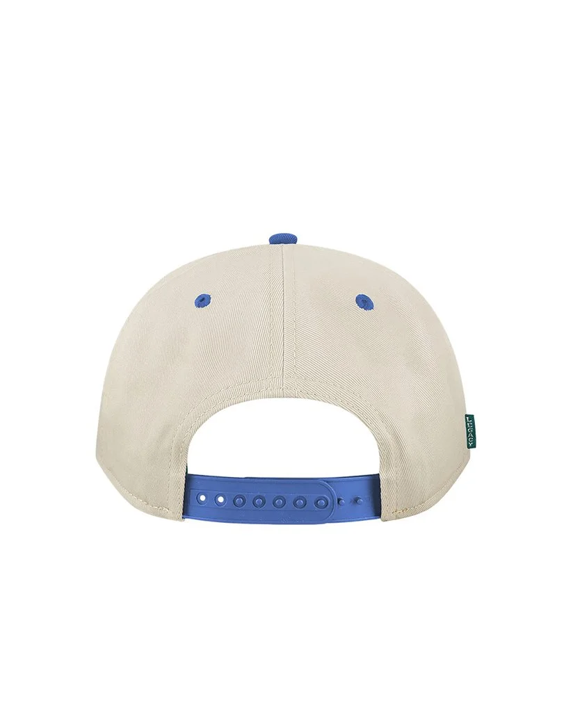Florida_Gators_Retro_cap_back.jpg