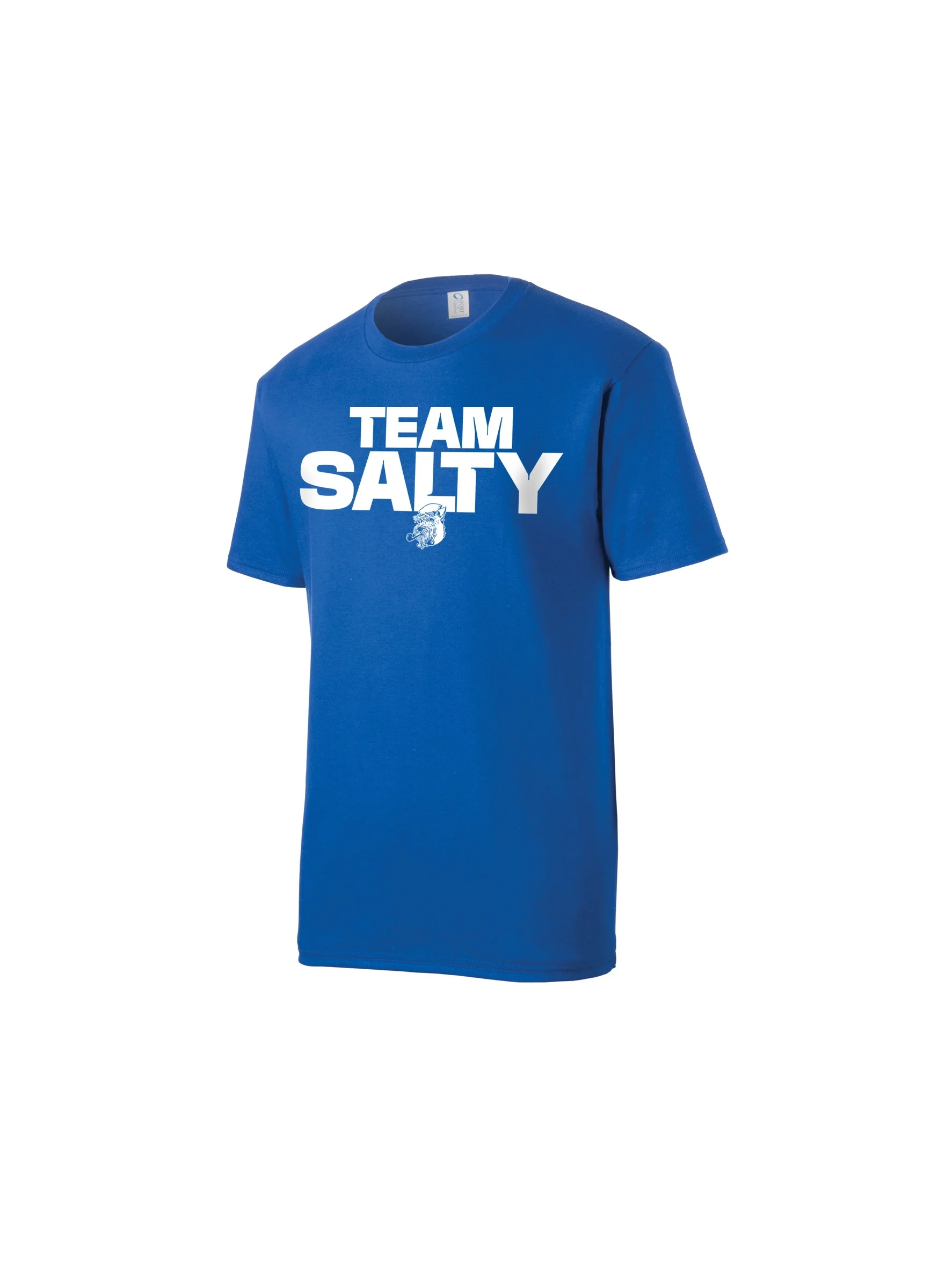 TEAM SALTY short sleeve tee