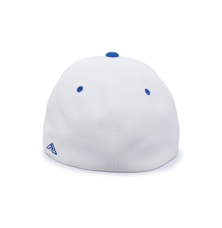 FL_Gators_USA_250_hat_back.jpg