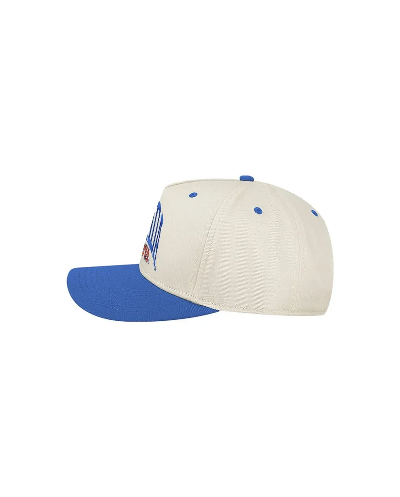 Florida_Gators_retro_side.jpg