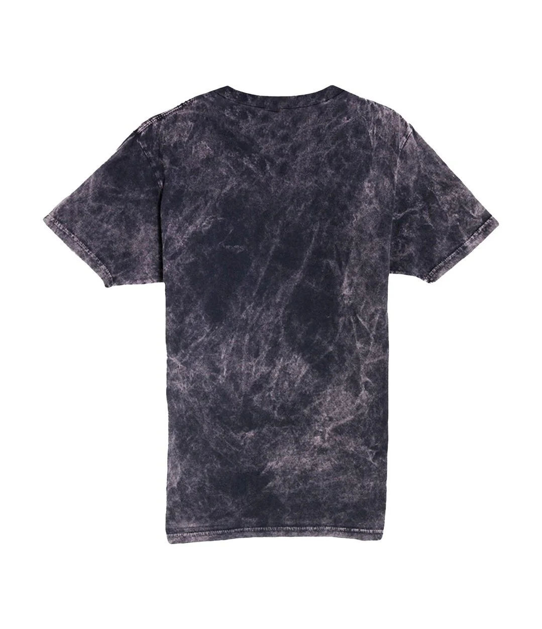 FL_Albert_tee_back.jpg