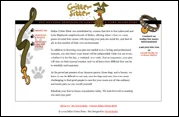 Critter Sitter Website Design | moxiestudio.com