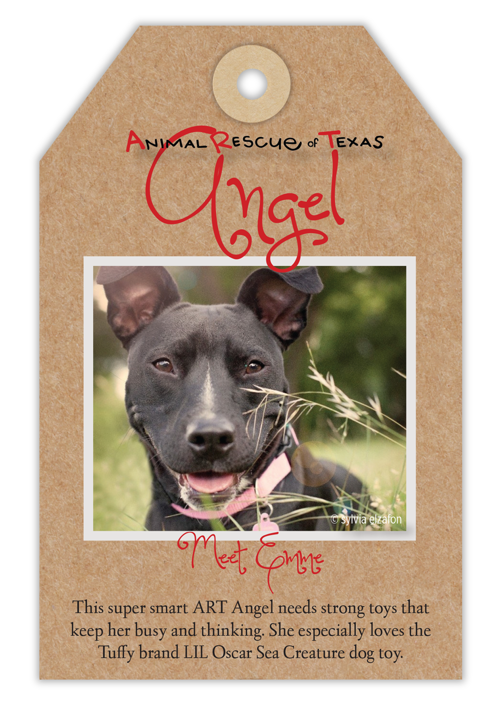 Animal Rescue of Texas Angel Tree Tags - Fosters