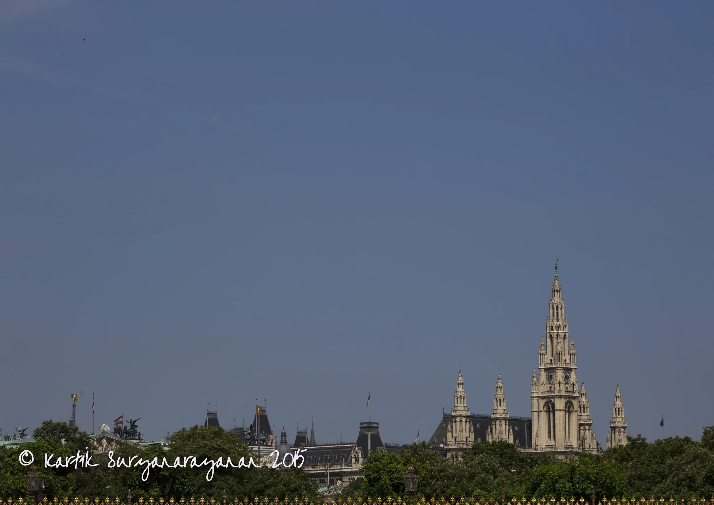 6N5A6967.jpg