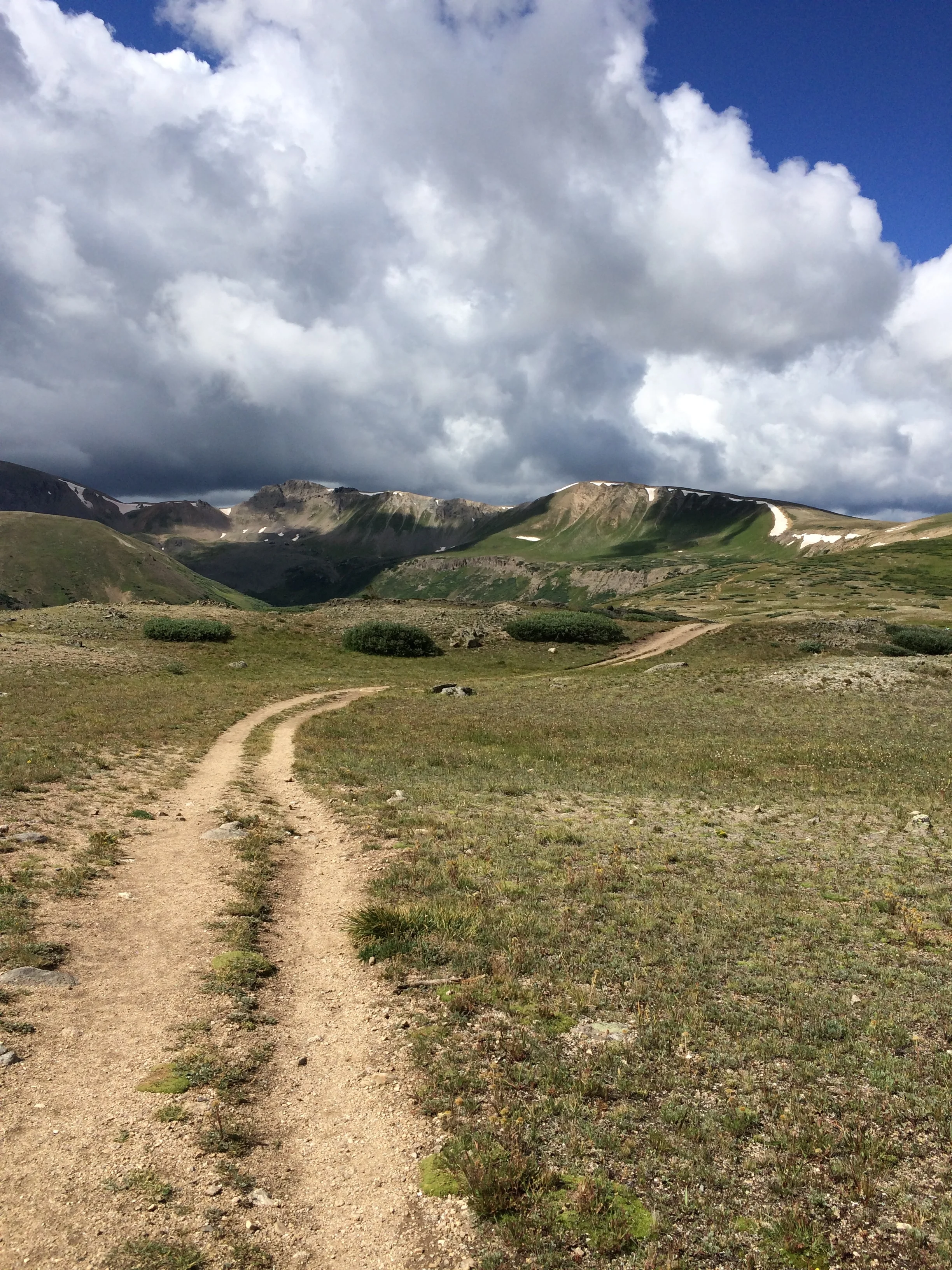 A recipe for curiosity