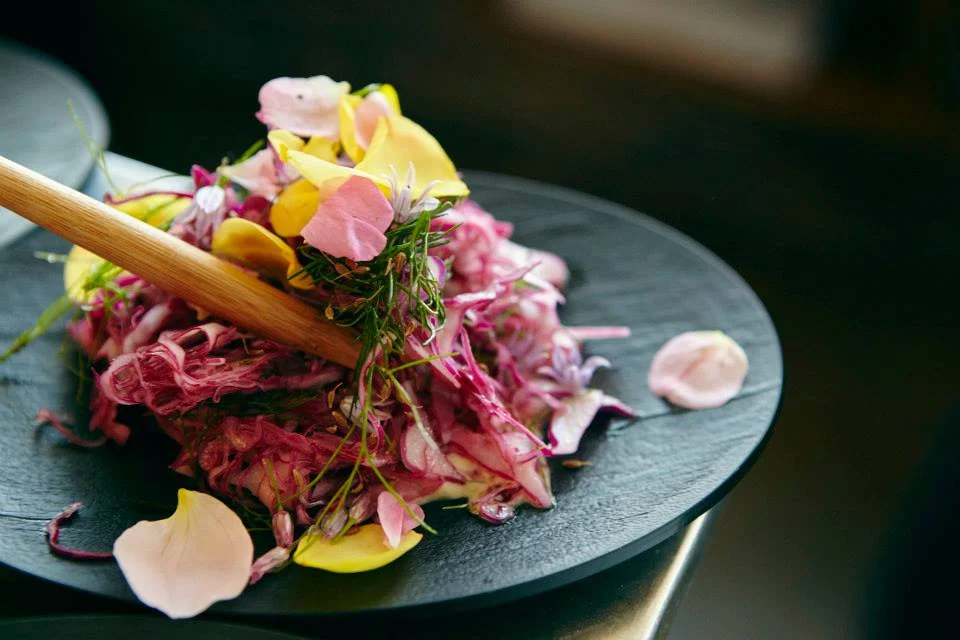 Sibelius & Nielsen @ 150 Birthday Gala