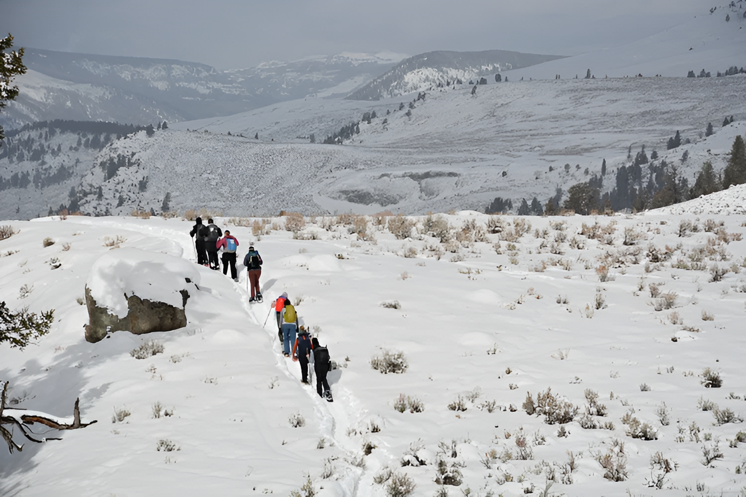 Yellowstone Winter Tours for Women: What a Cozy, Snowy National Park Escape Really Feels Like