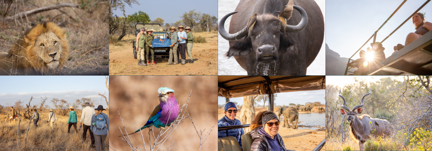 A collage of images from the South African trip organized by AdventurUs.