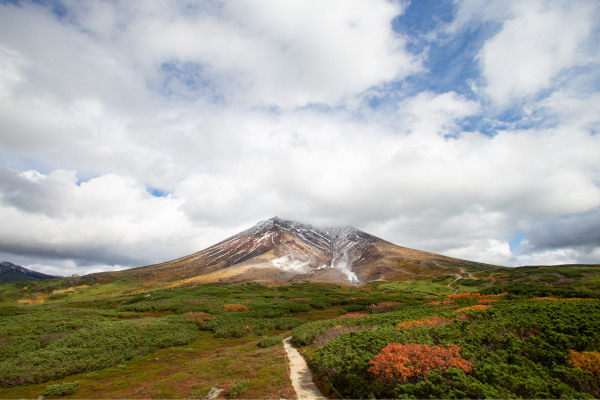 Mt Asahi in the fall