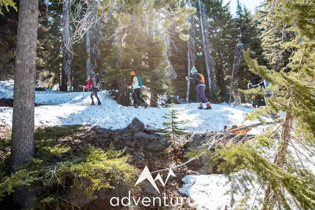 Three hikers trekking through snowy pines on an AdventurUs winter trail.