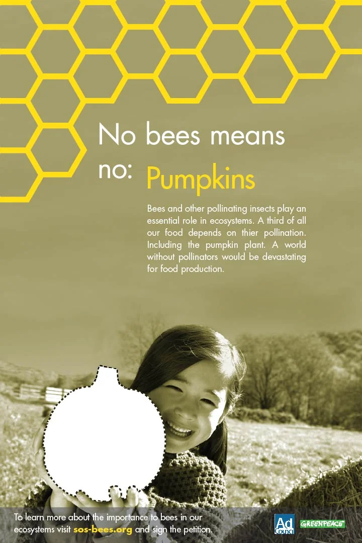 No More Pumpkin-01.jpg