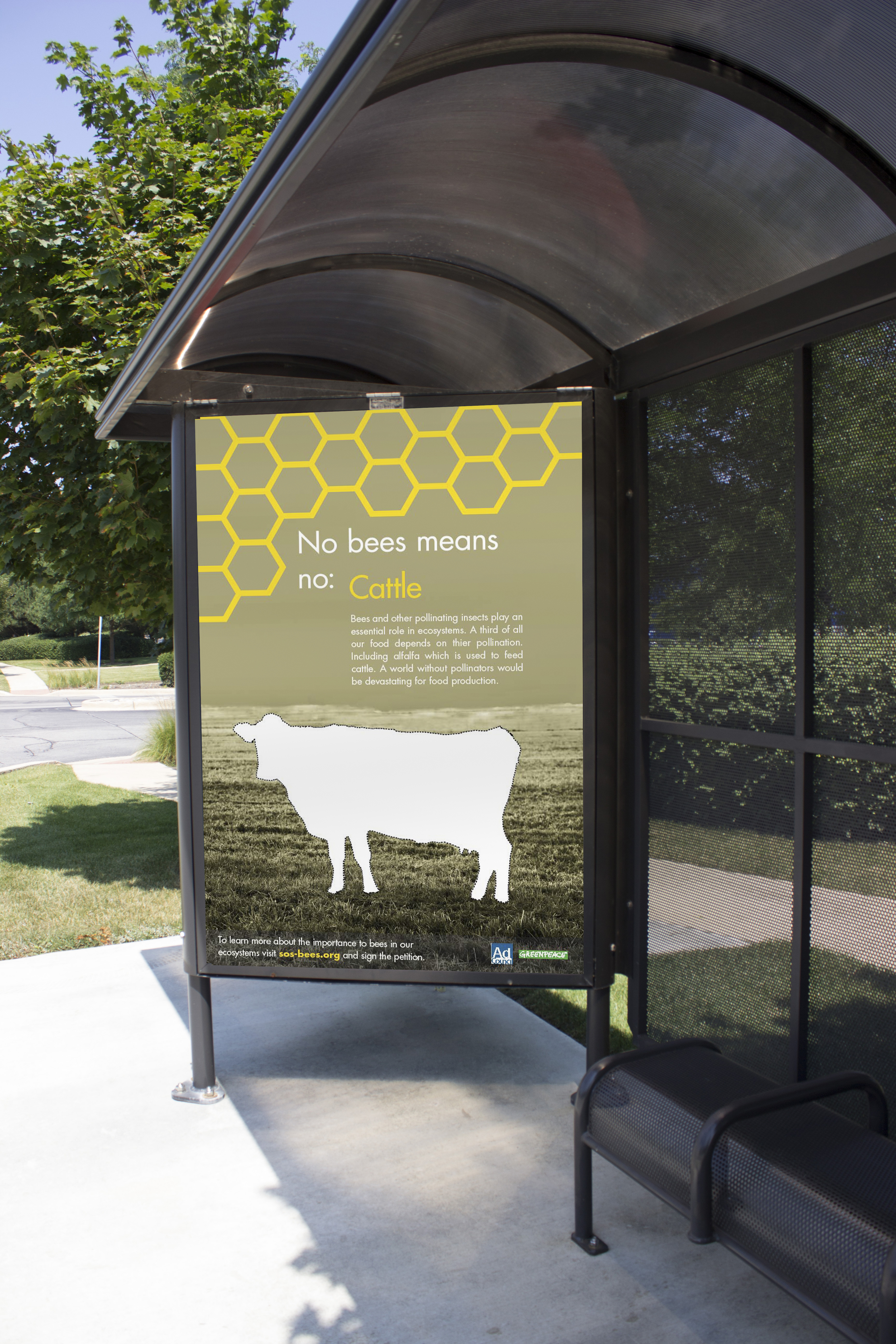 No bees means no cattle Display Bus Stop.jpg