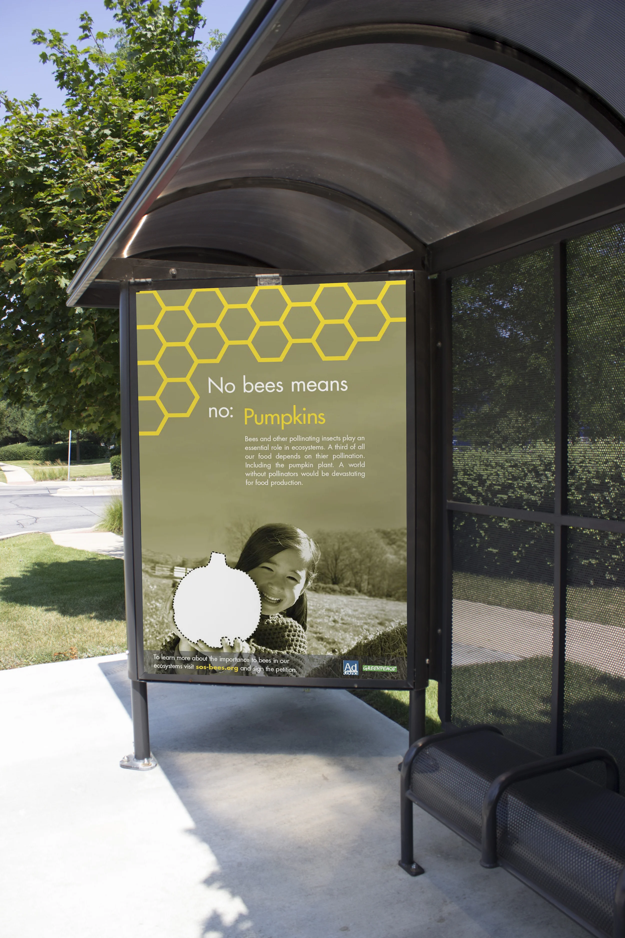 No Bees Means Pumpkins Display Bus Stop.jpg