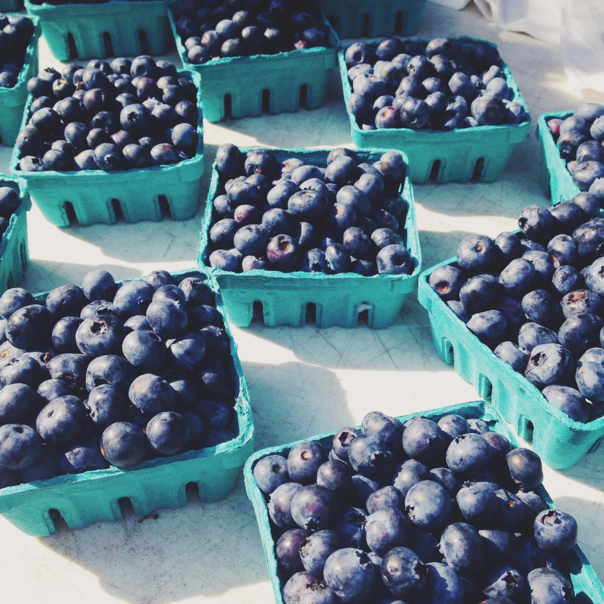 A morning at the Union Square Greenmarket