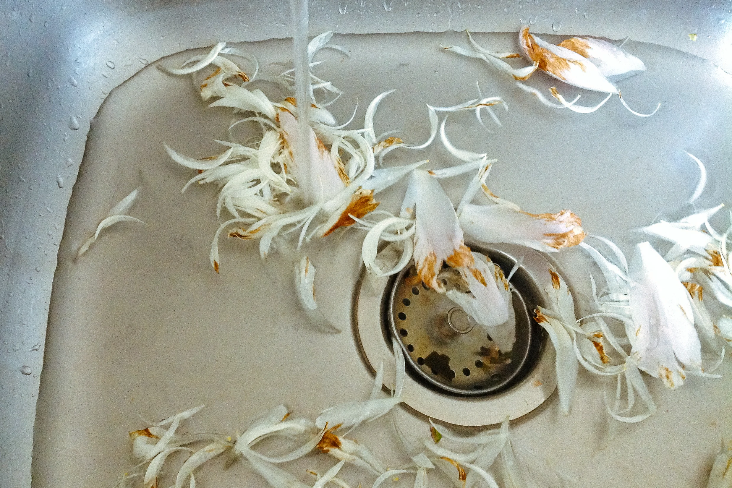 2013-06-17 10.49.54.jpg