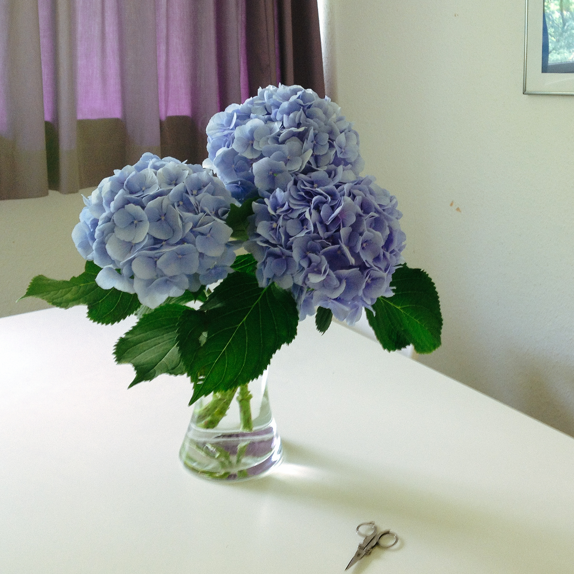 2013-08-31 15.07.57.jpg
