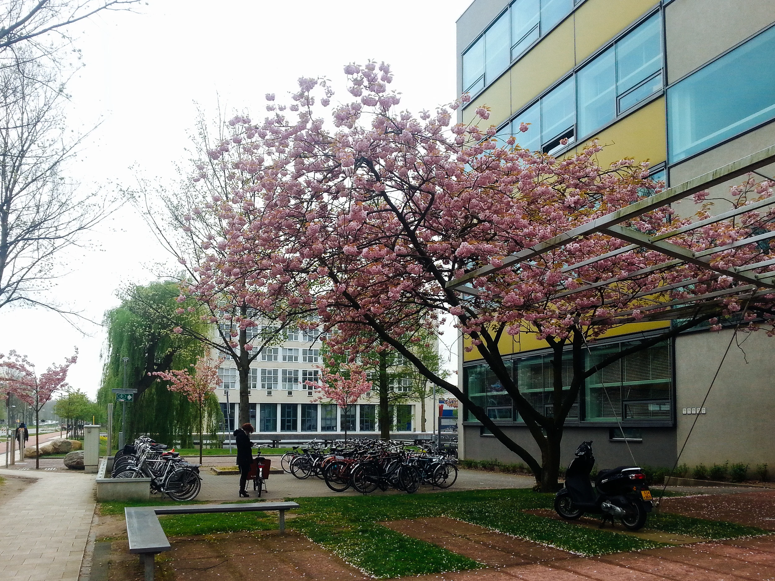 2014-04-10 12.25.59.jpg