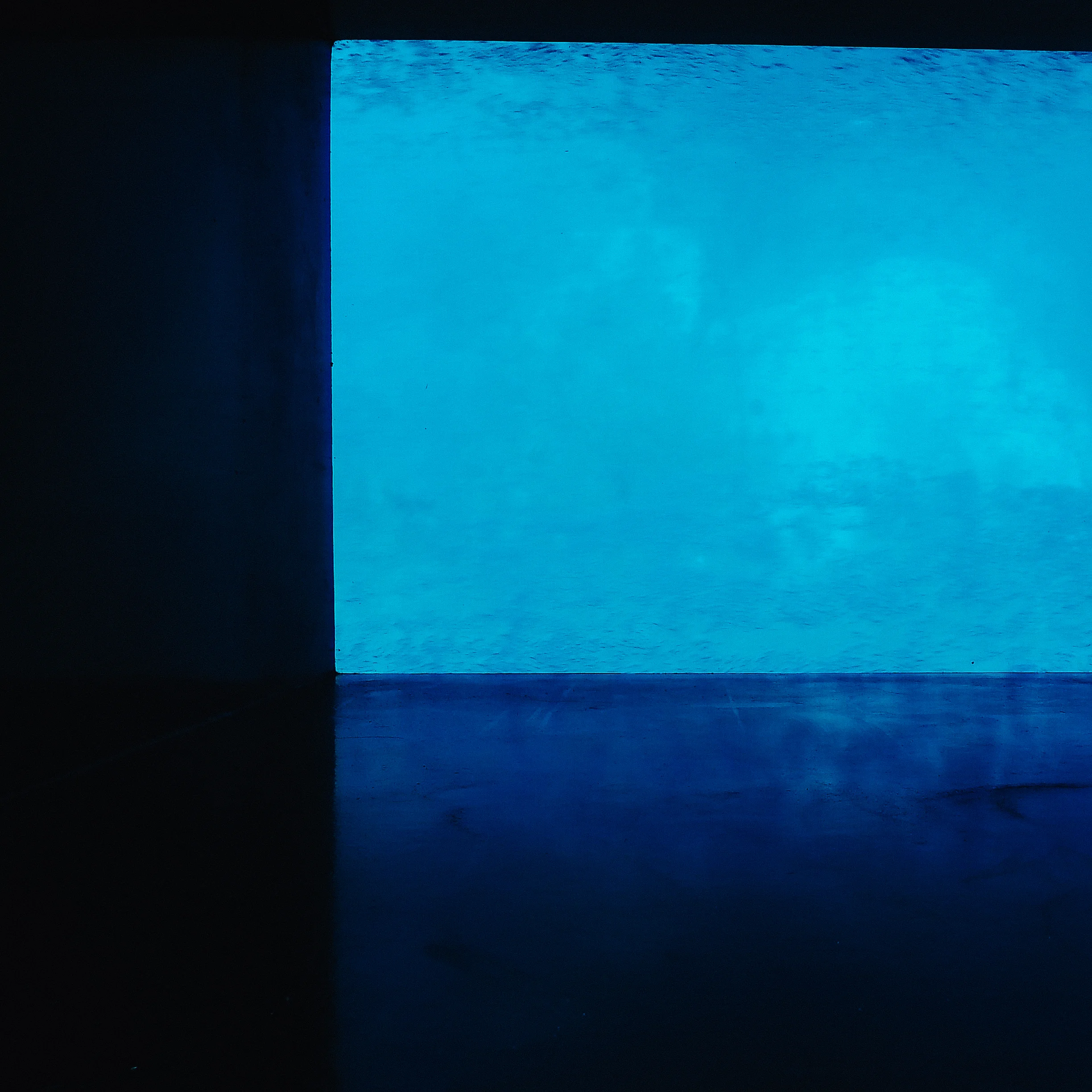 2014-08-31 12.29.21 1.jpg