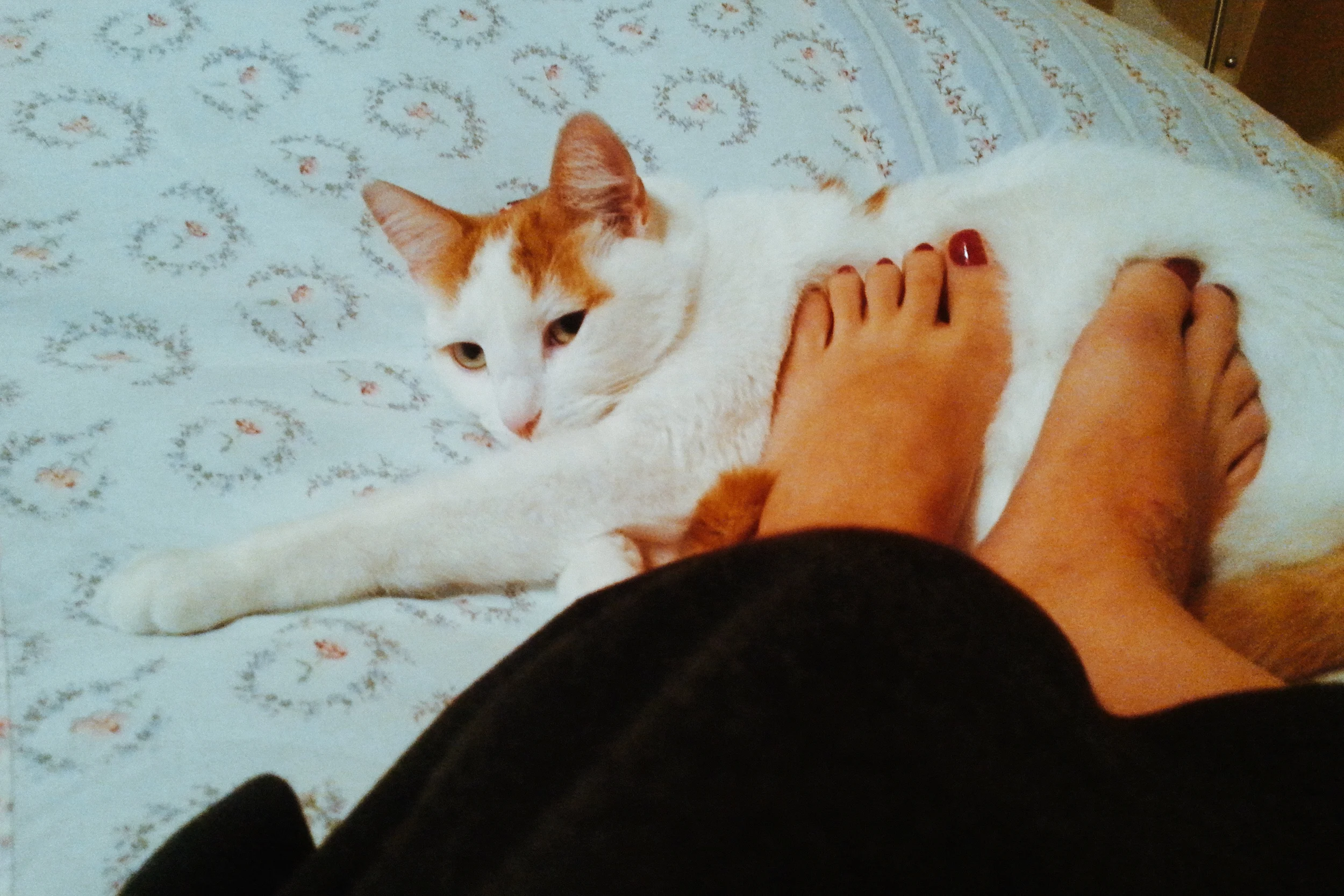 2015-01-01 02.18.13 1.jpg