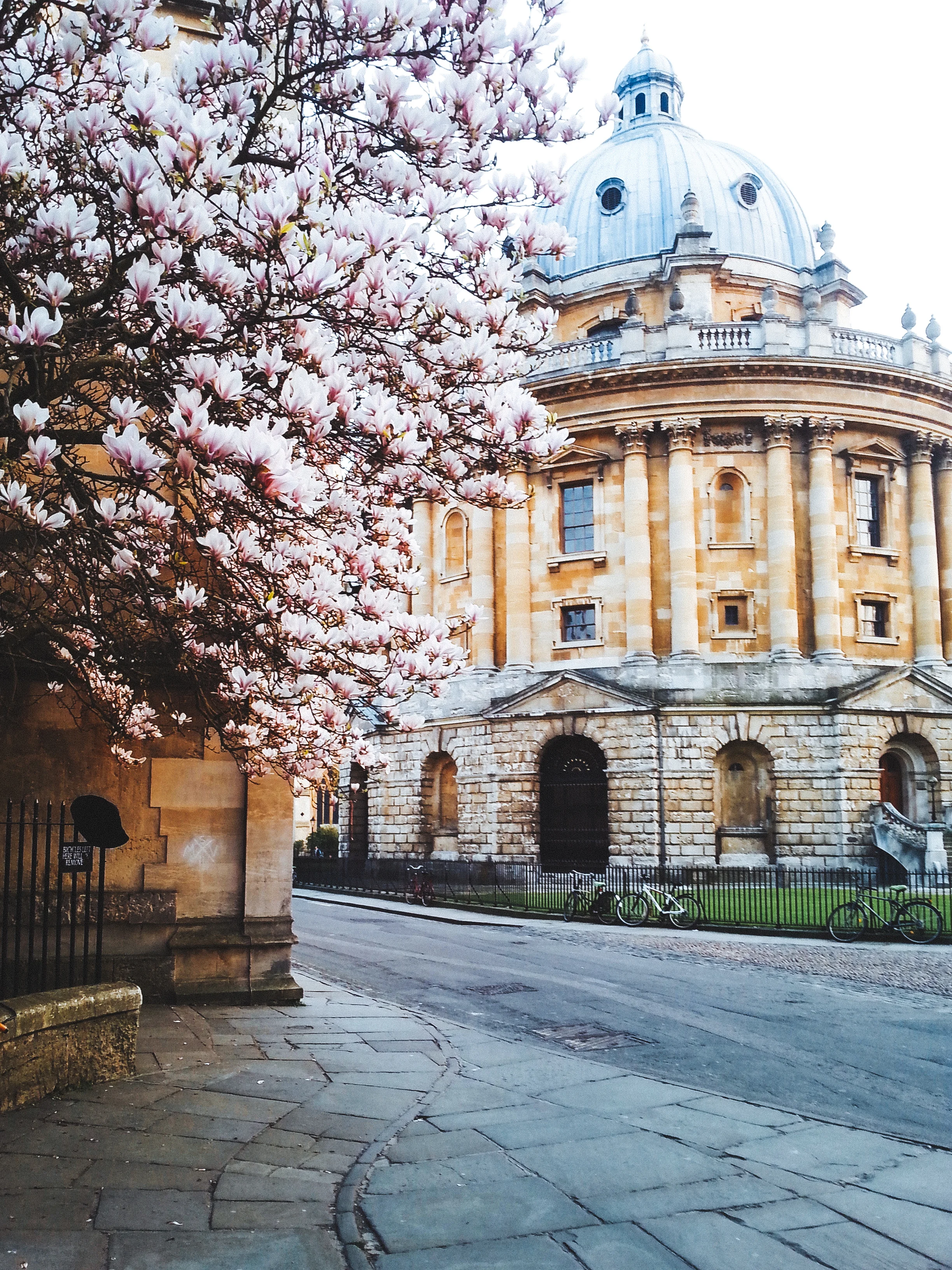 2015-04-08 07.21.52 1.jpg