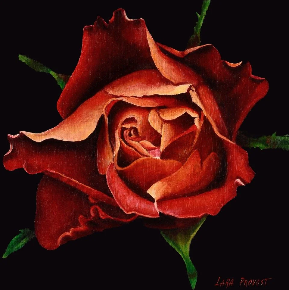 Radiance unfolding.jpeg