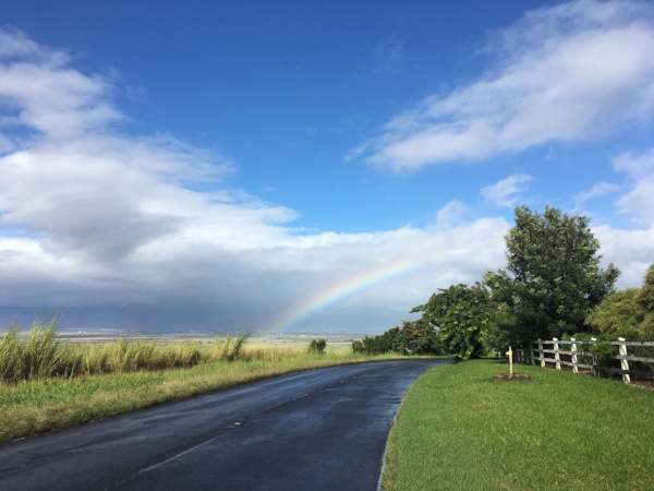 Searching for rainbows