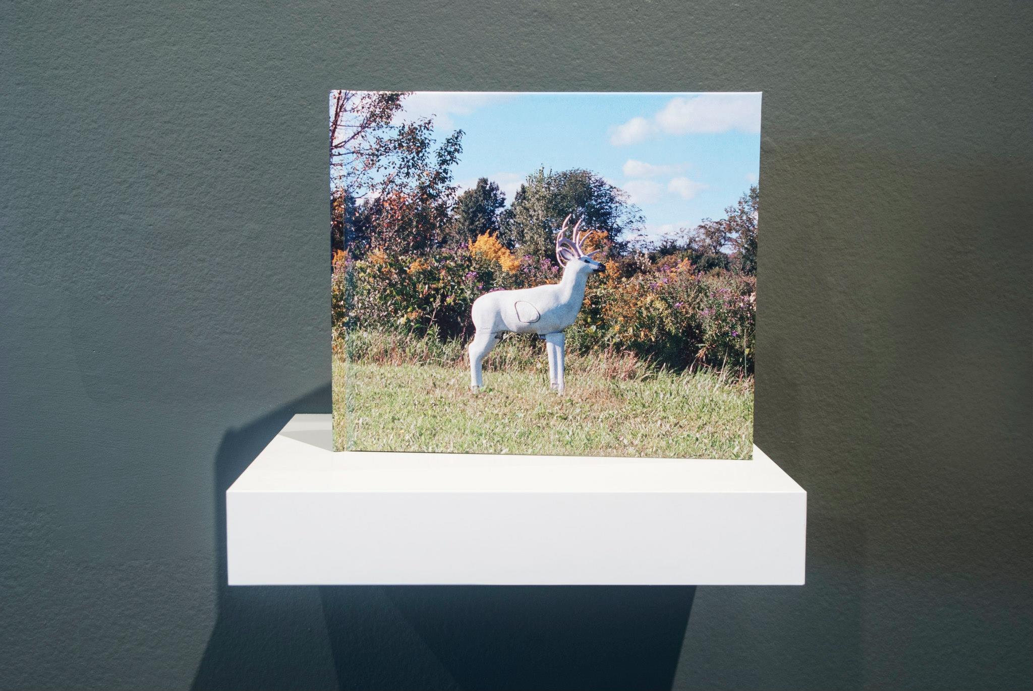 Southbound on view at the Handwerker Gallery in Ithaca, NY.