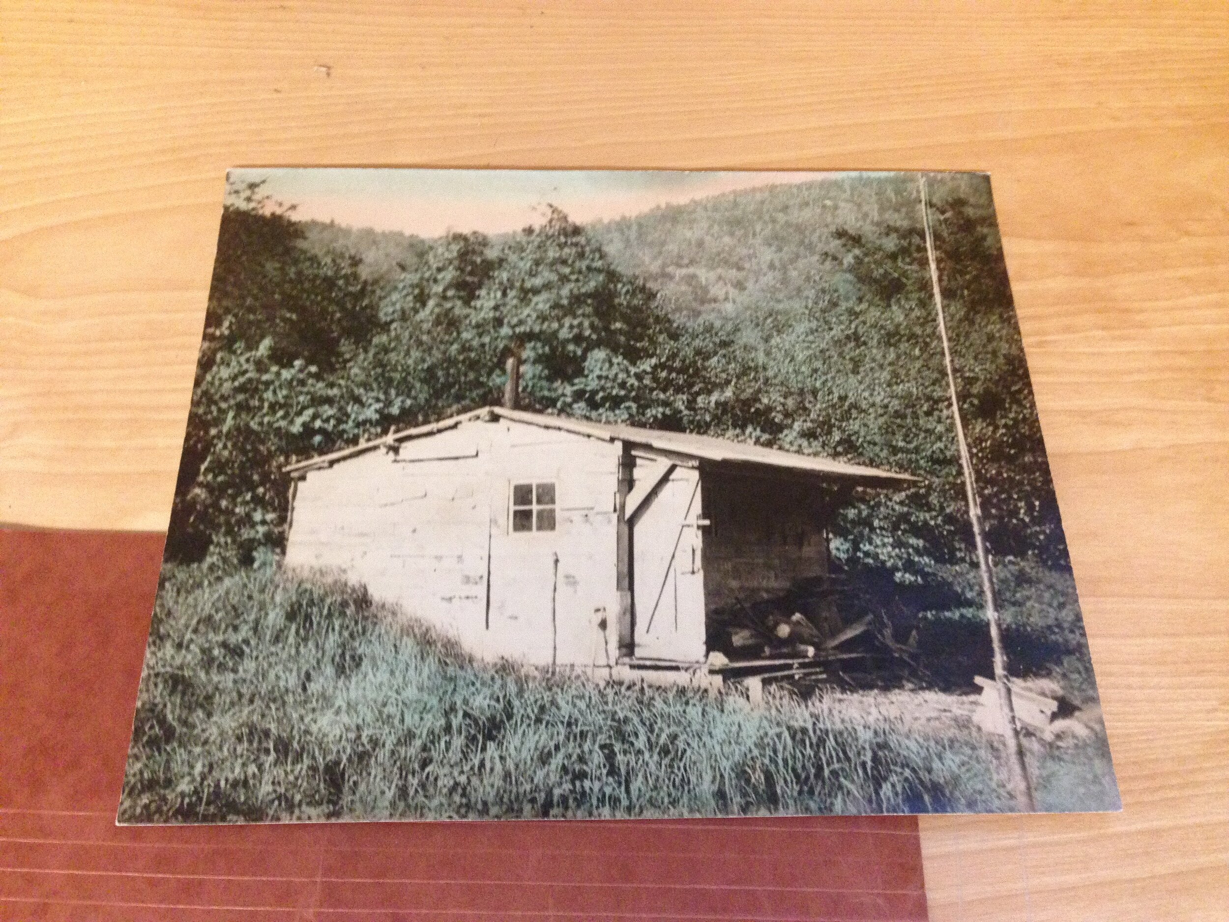   Photographic print of a shelter on the Long Trail (Green Mountain Club Archives).  