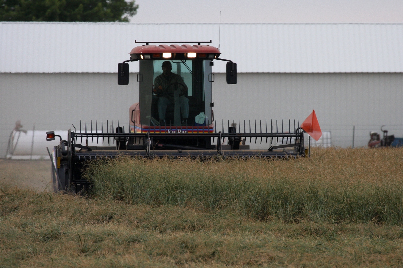 Bromar Mt Brome Swathing.jpg