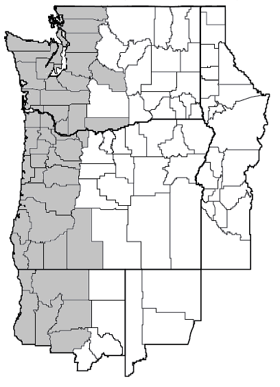Phacelia tanacetifolia (Lacy phacelia) map.png