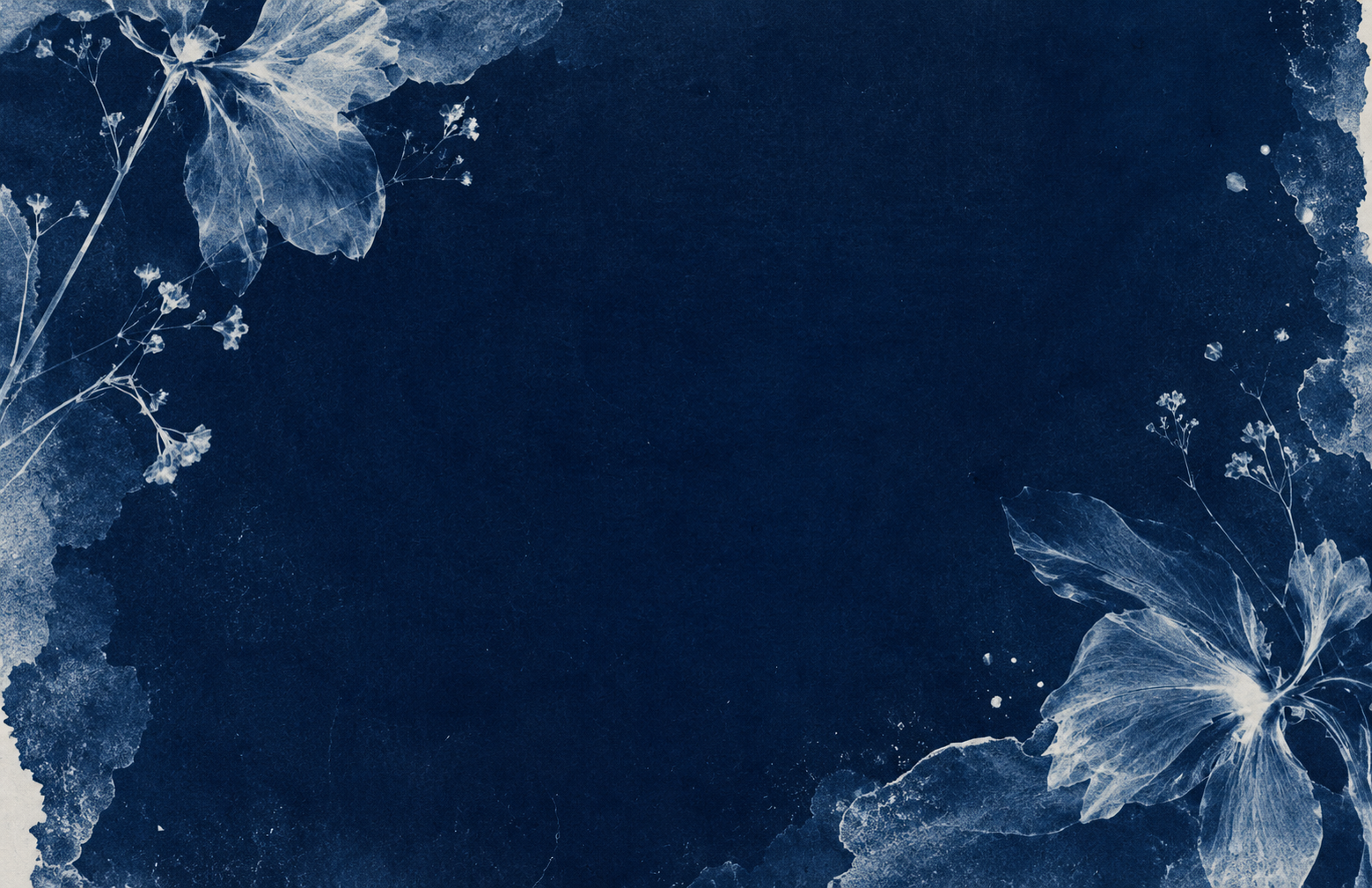 98c2e6f9-fbe7-4e7d-afe7-ad3a1b1c89d9.png