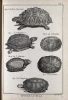 Author Wellcome Images