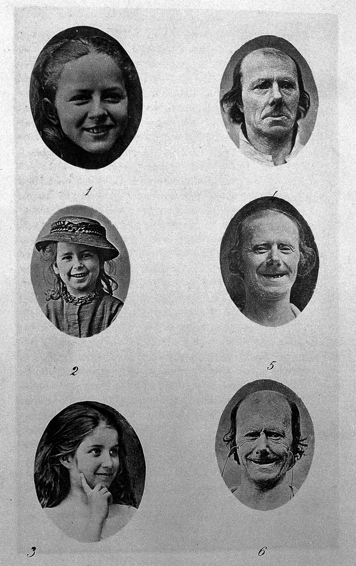 Source Wellcome Images