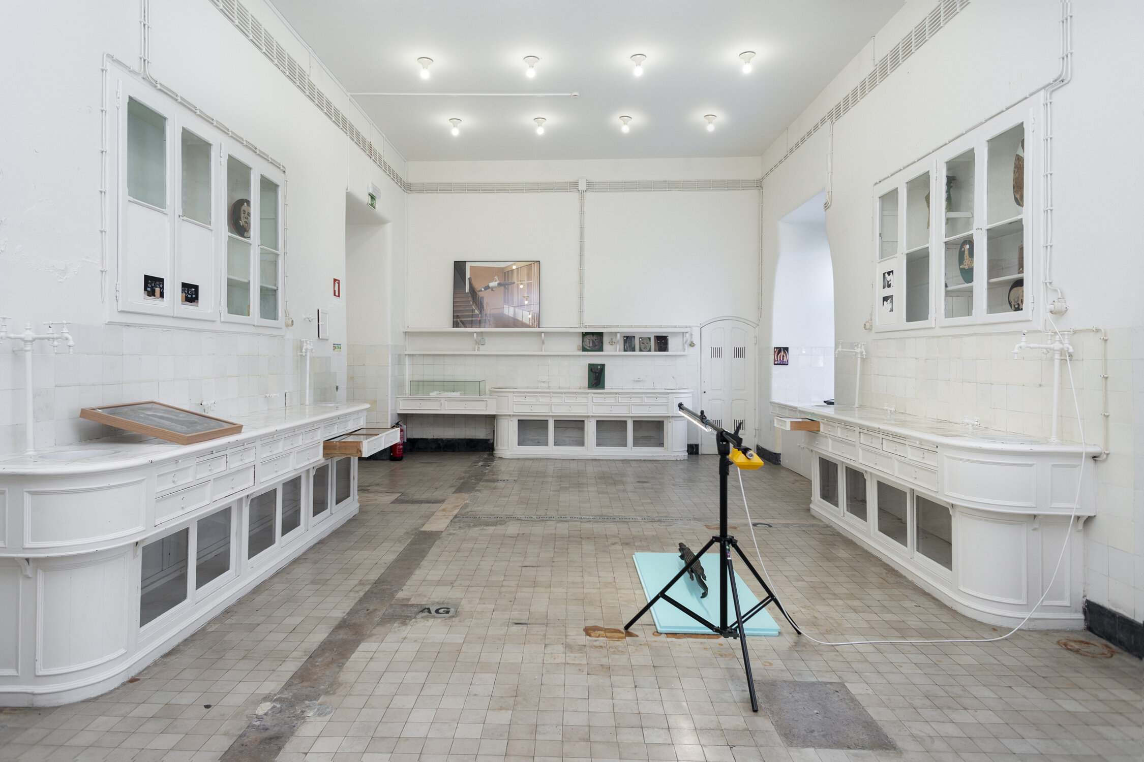   Exhibition view,  “CABINET“, Museum of Science and Natural History of Lisbon    Lisbon (PT)  