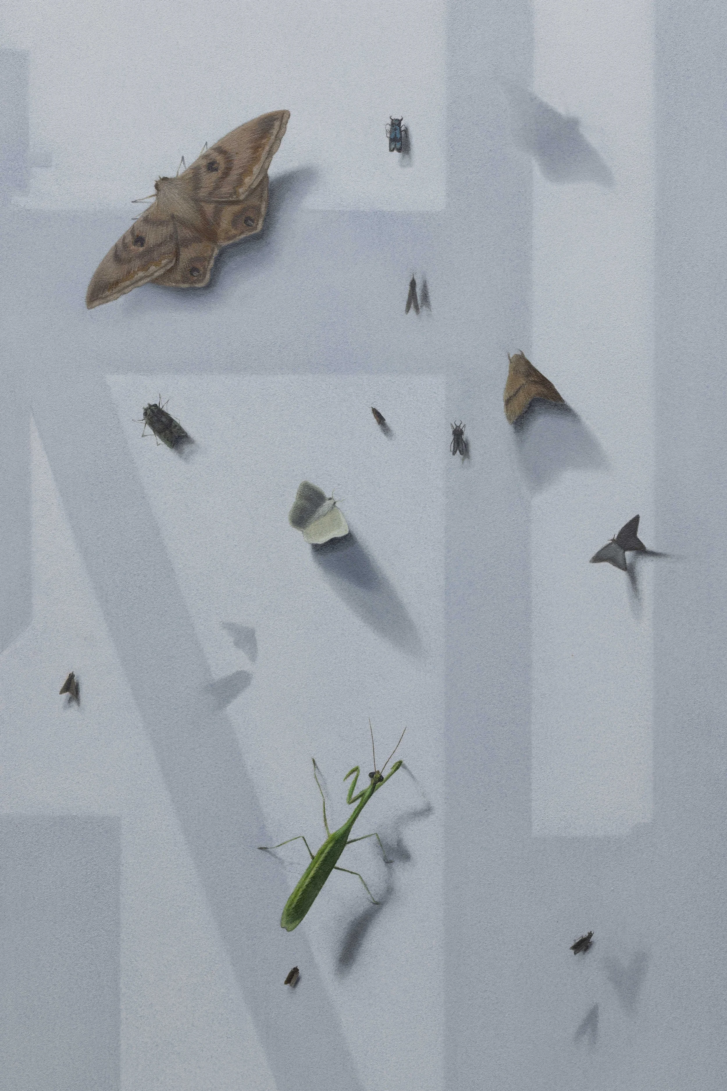   O Canto do Trovador   (detail), oil on canvas, 152×122cm  2026 