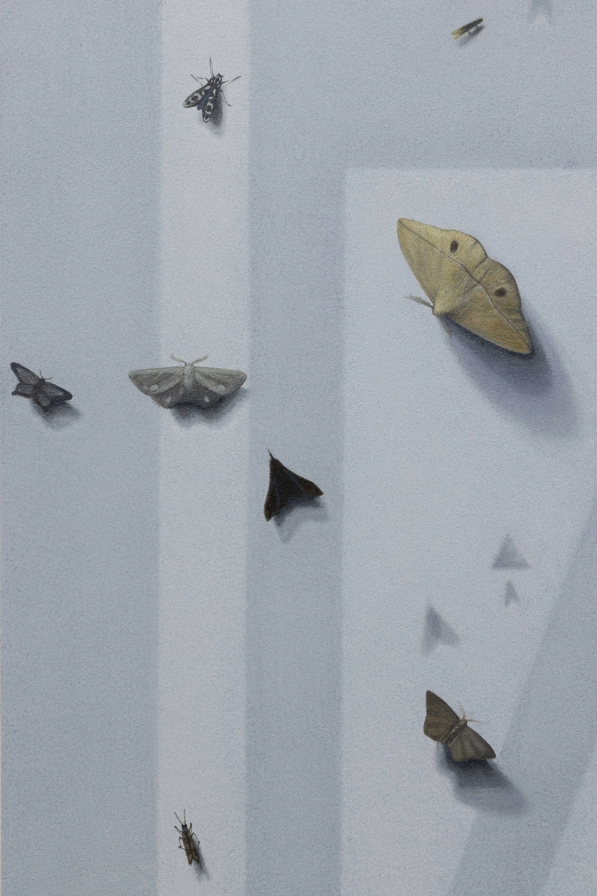    O Canto do Trovador   (detail), oil on canvas, 152×122cm  2026 